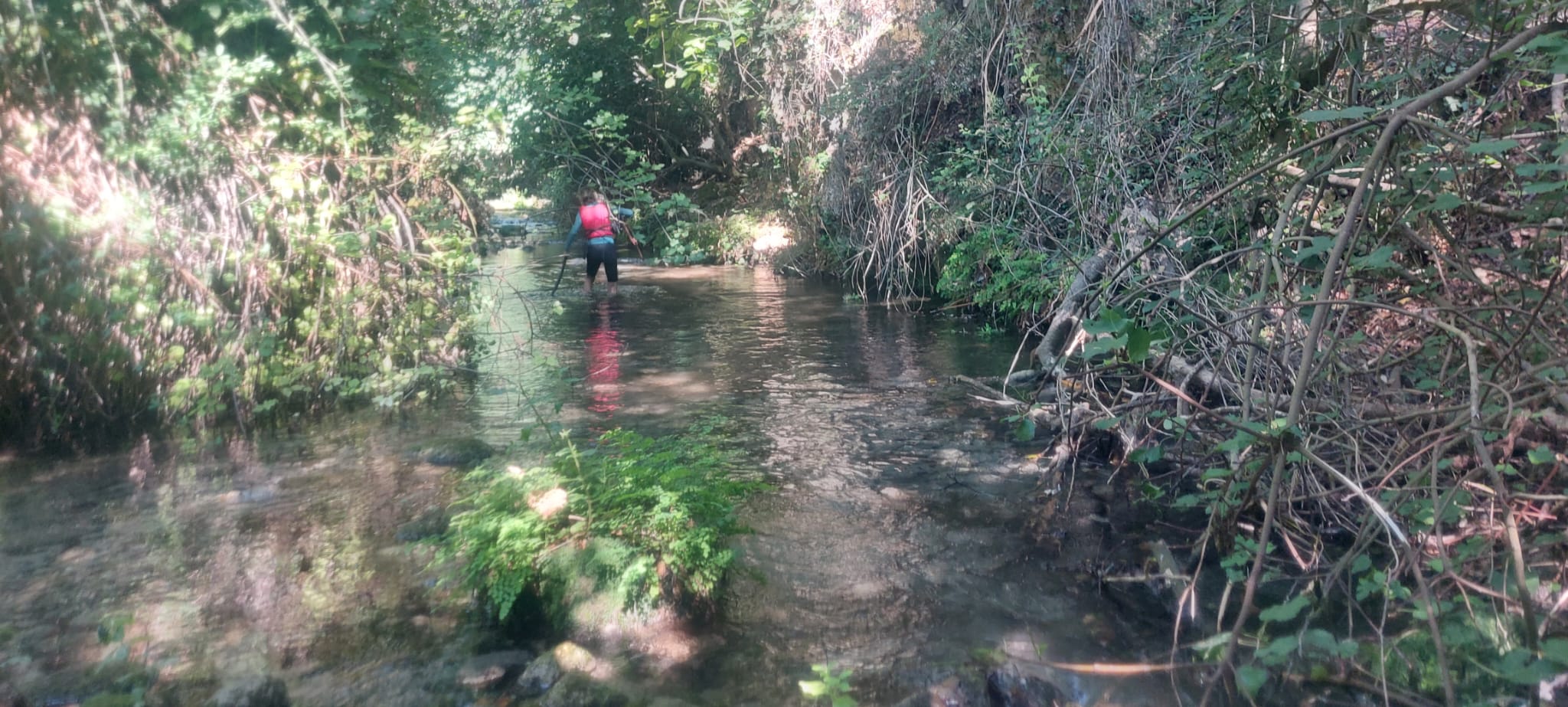 Water Trek in the Eden of the Putrisino Stream - SR