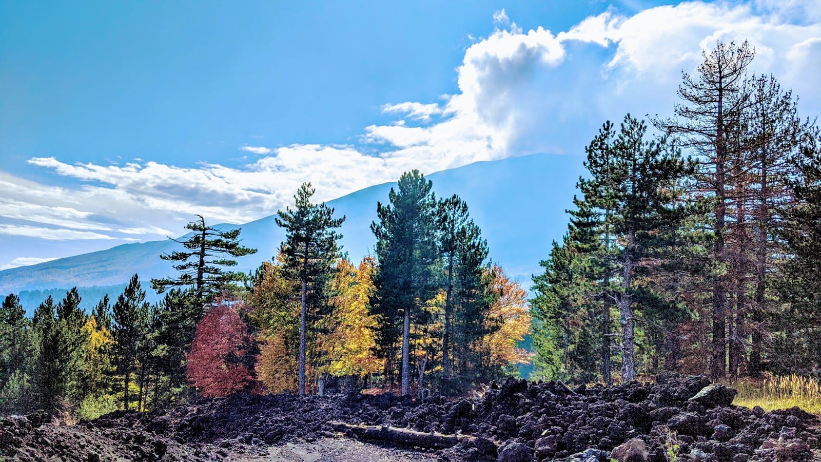 Autumn on Etna - Monte Rinatu and the Cave Trail.