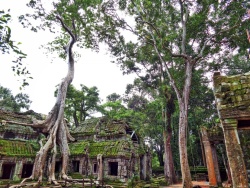 Cambogia e Laos - Avventura tra Templi e Giungle