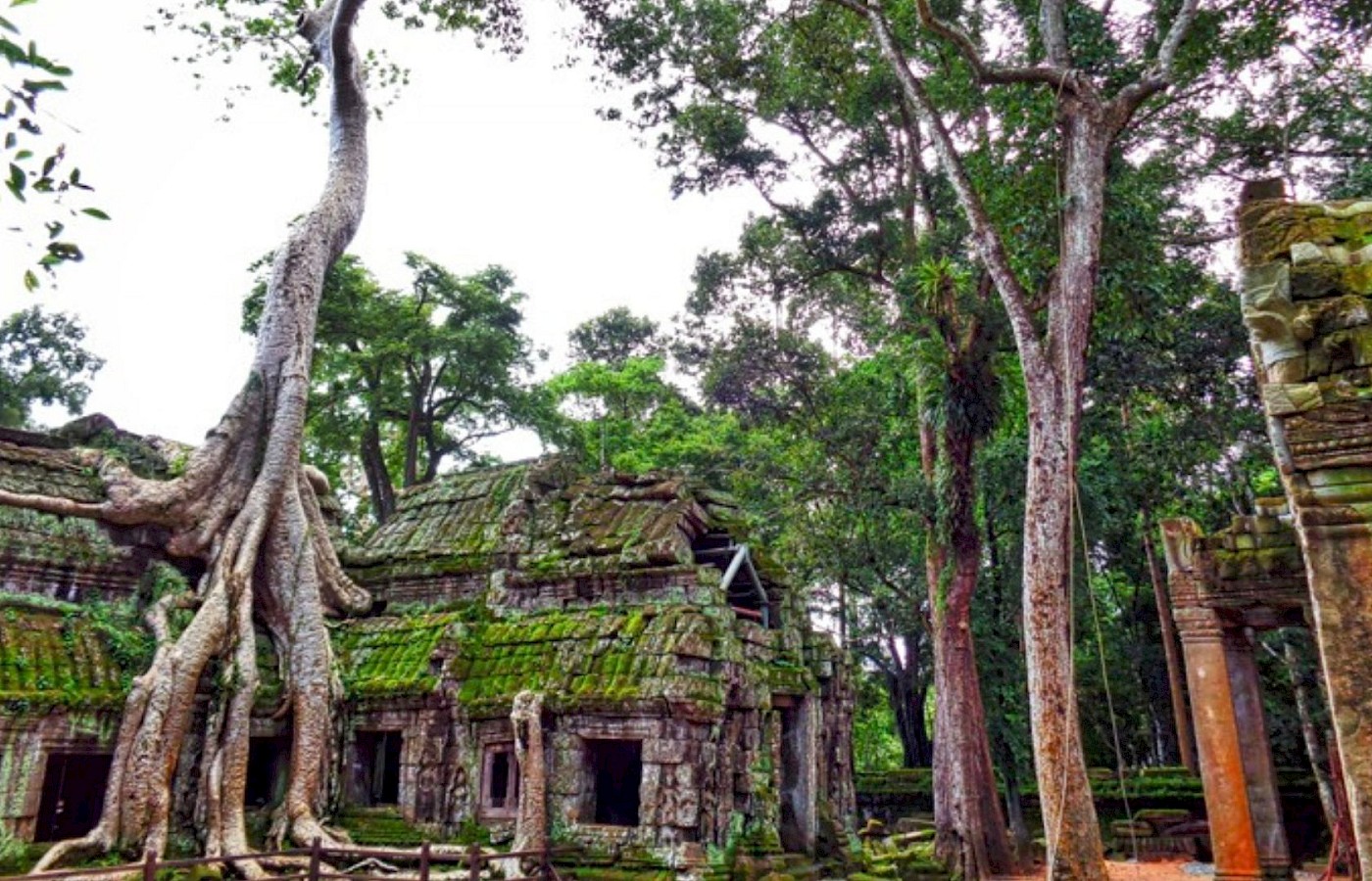 Oriente Selvaggio - Cambogia e Laos