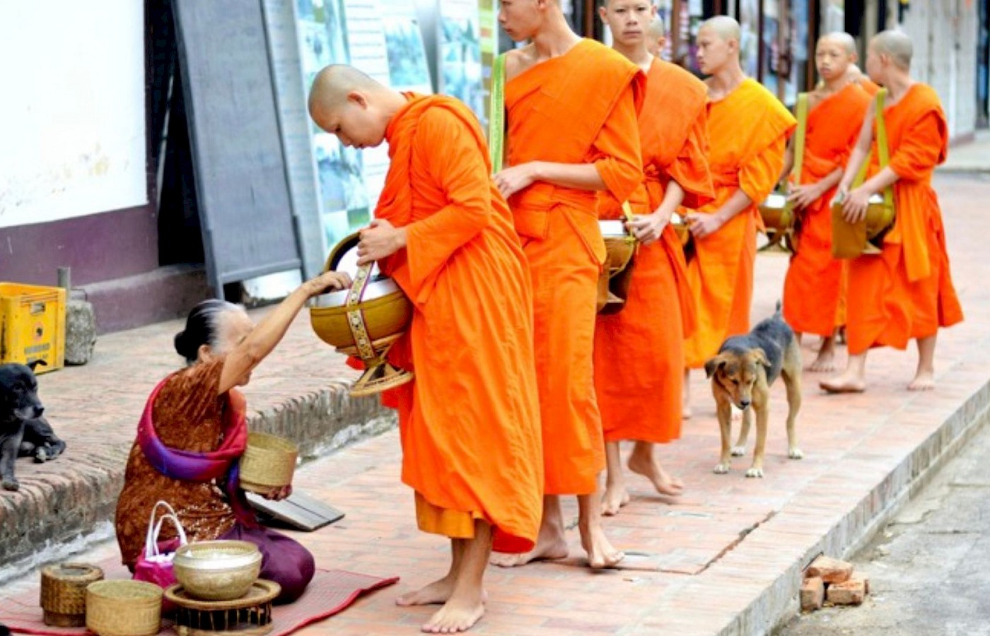 Oriente Selvaggio - Cambogia e Laos