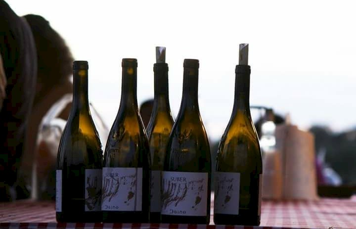 Wine&Go | Among cork oaks and wine glasses