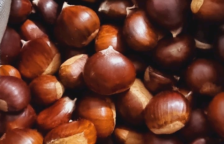 Escursione e Raccolta delle Castagne del sabato