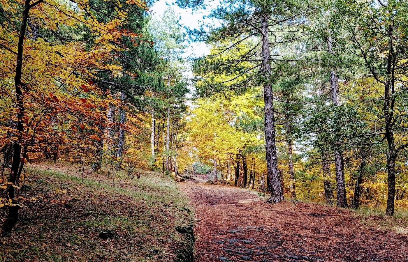 Etna en otoño