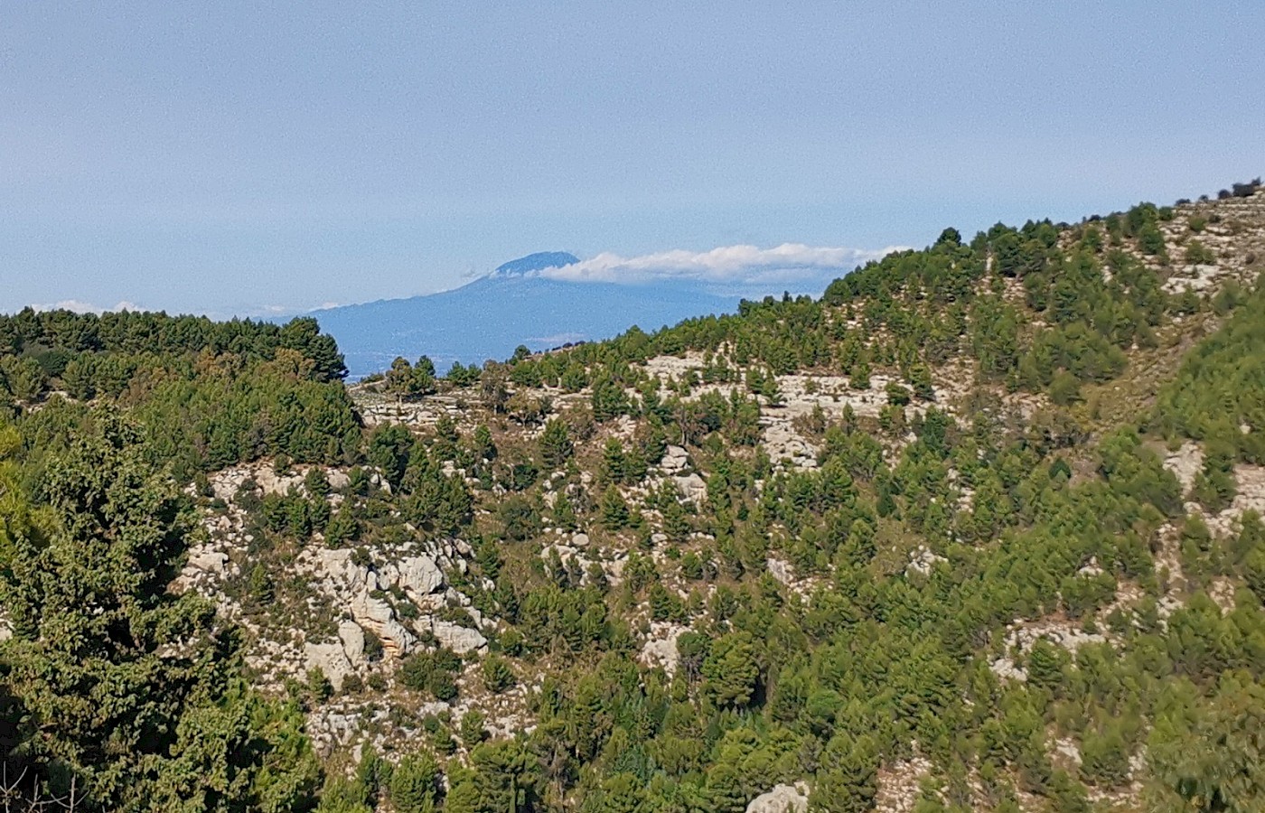 Pedagaggi – Ferla