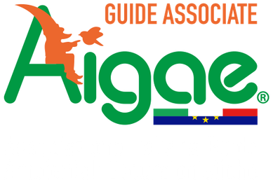 AIGAE